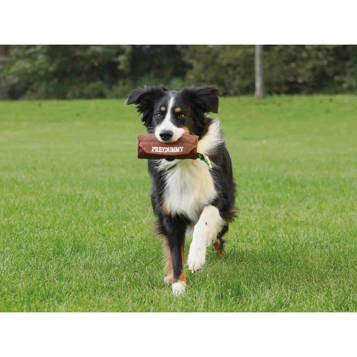 Jouet pour chien Trixie - Image 3