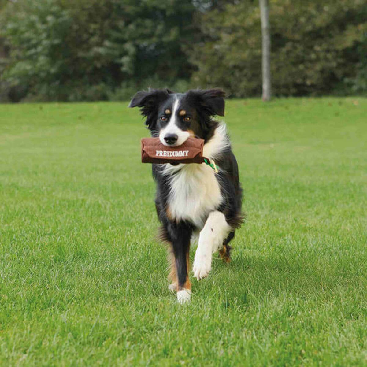 Jouet pour chien Trixie - Image 4