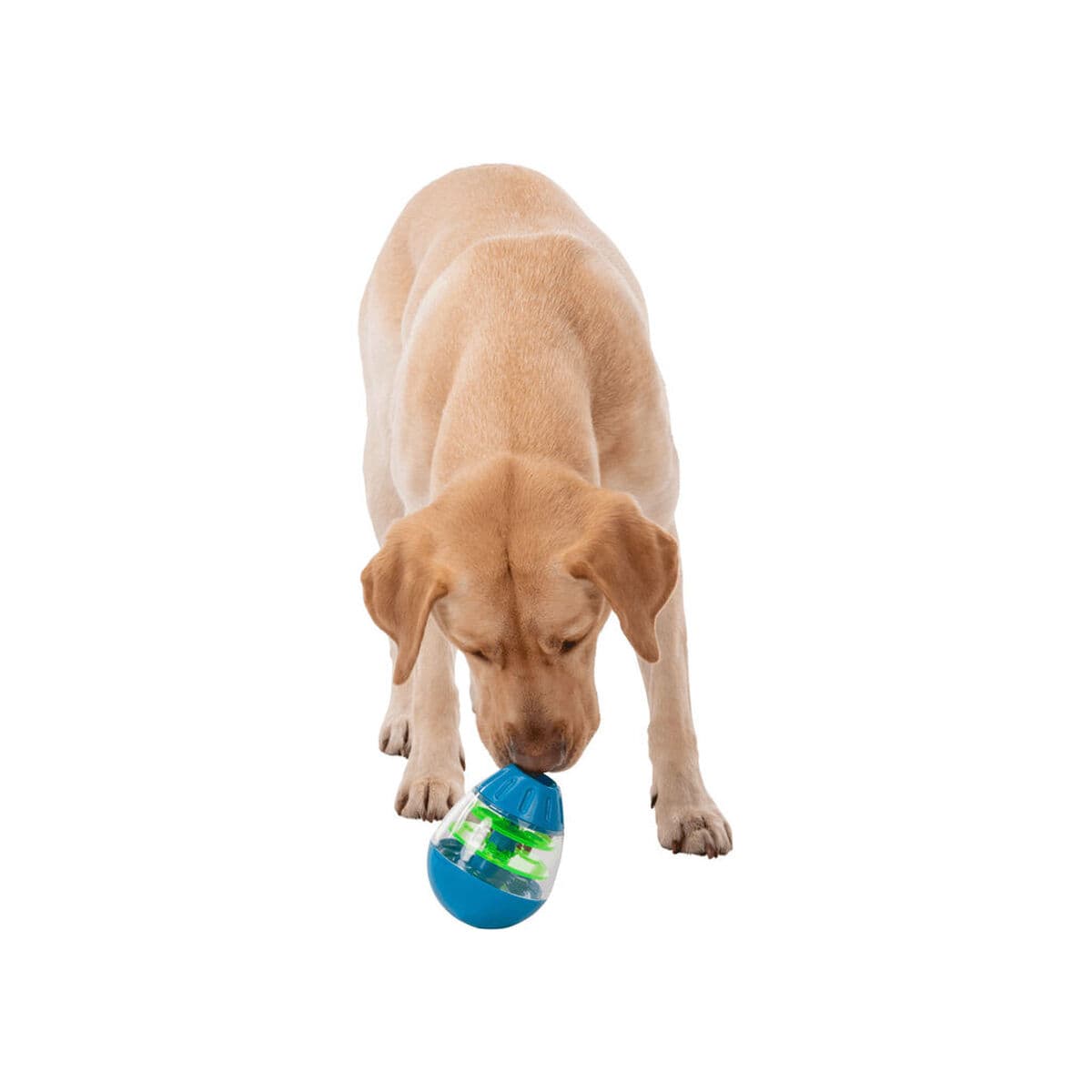 Hondenspeelgoed Trixie Snacks - Image 17