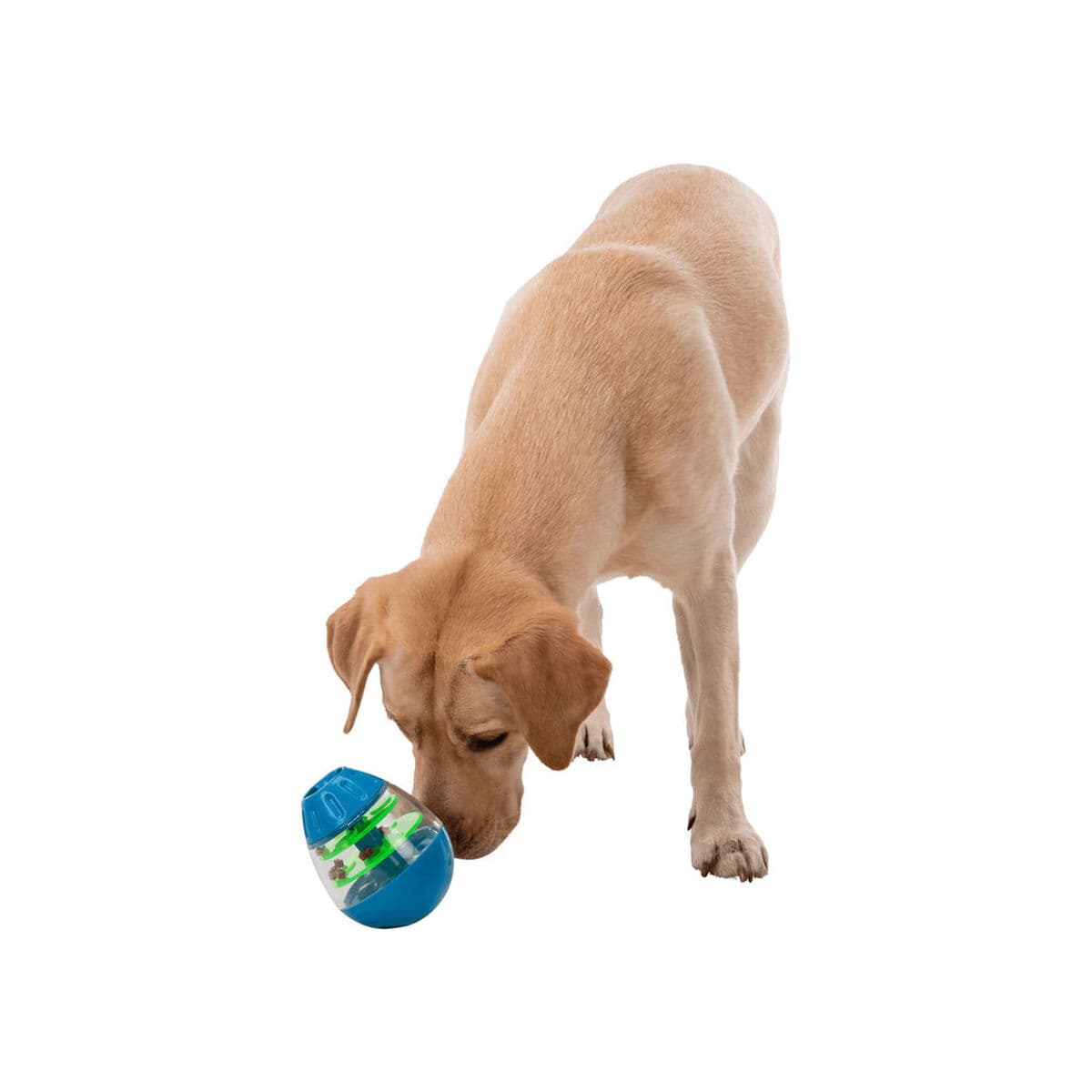 Hondenspeelgoed Trixie Snacks - Image 19