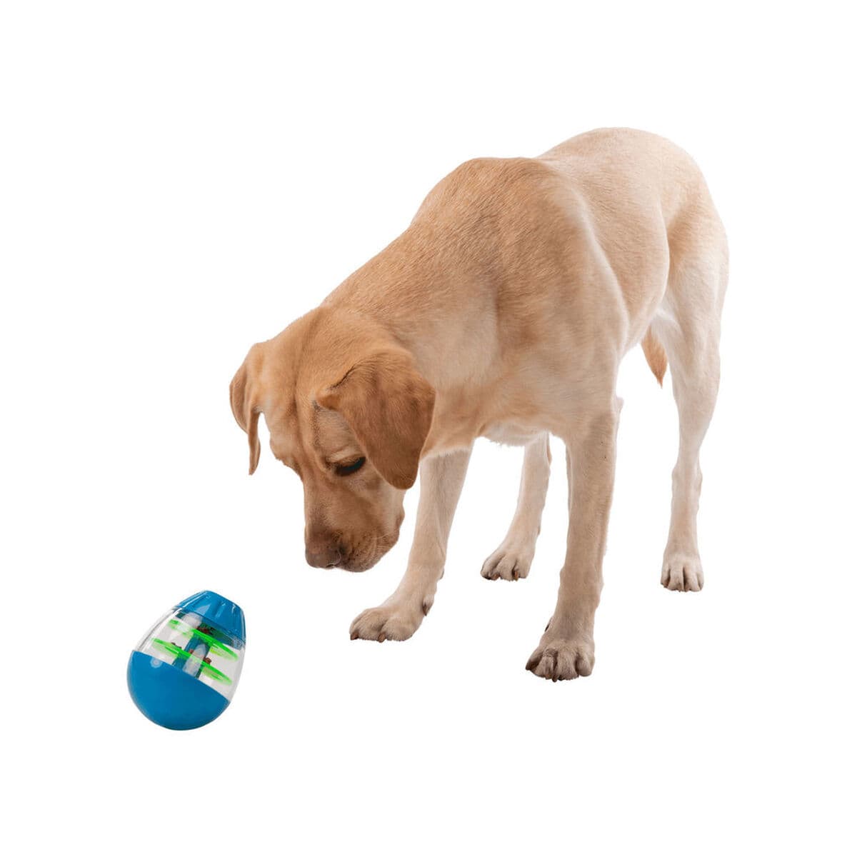 Hondenspeelgoed Trixie Snacks - Image 21