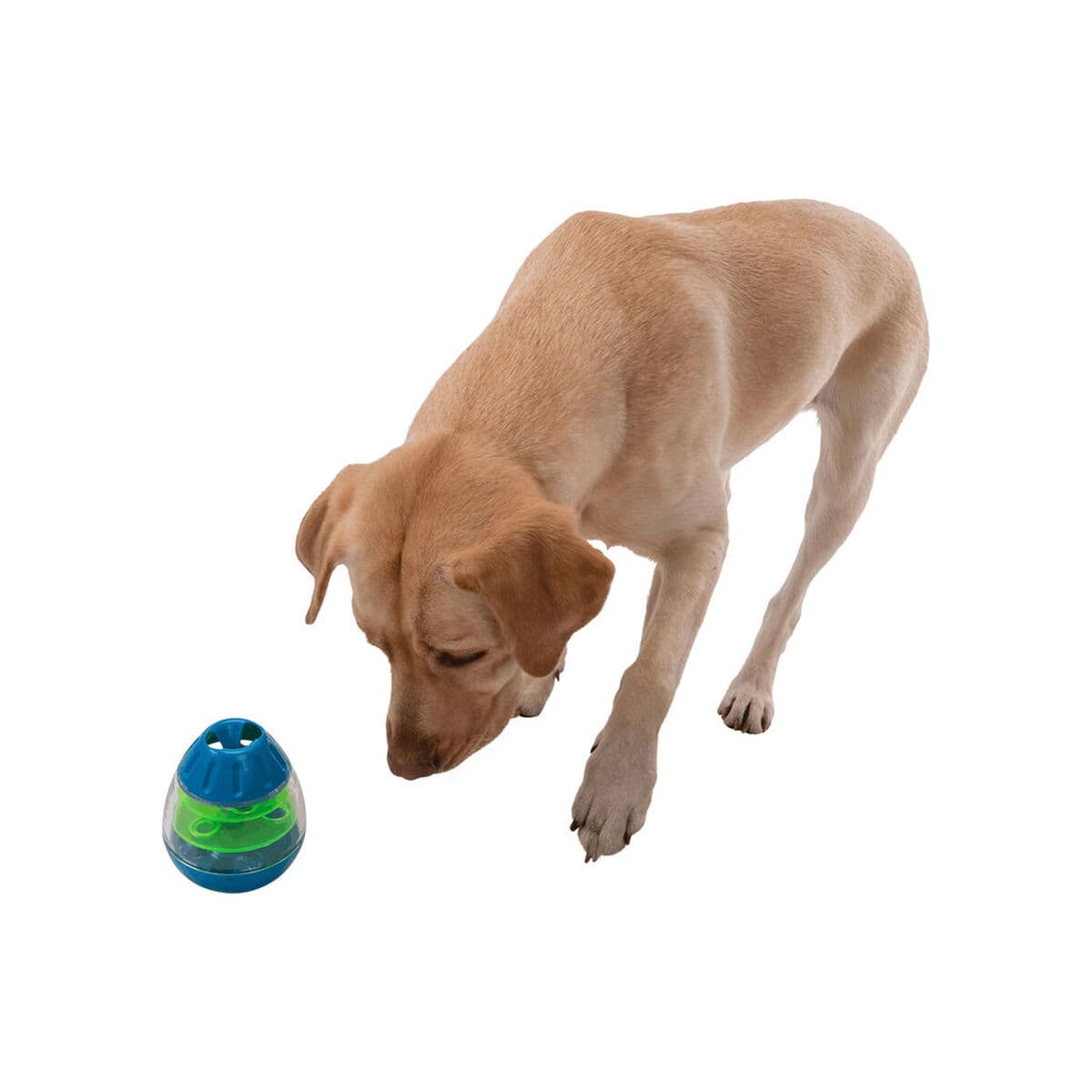 Hondenspeelgoed Trixie Snacks - Image 23