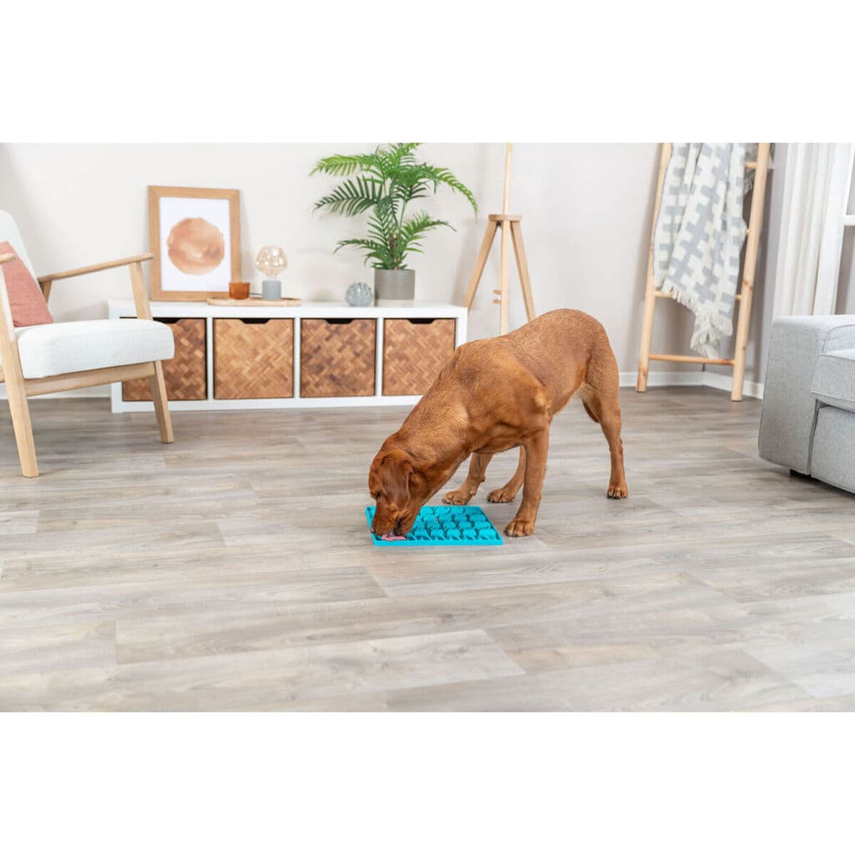 Games Mat and Rewards for Pets Trixie Lick'n'Snack Turquoise - Image 11
