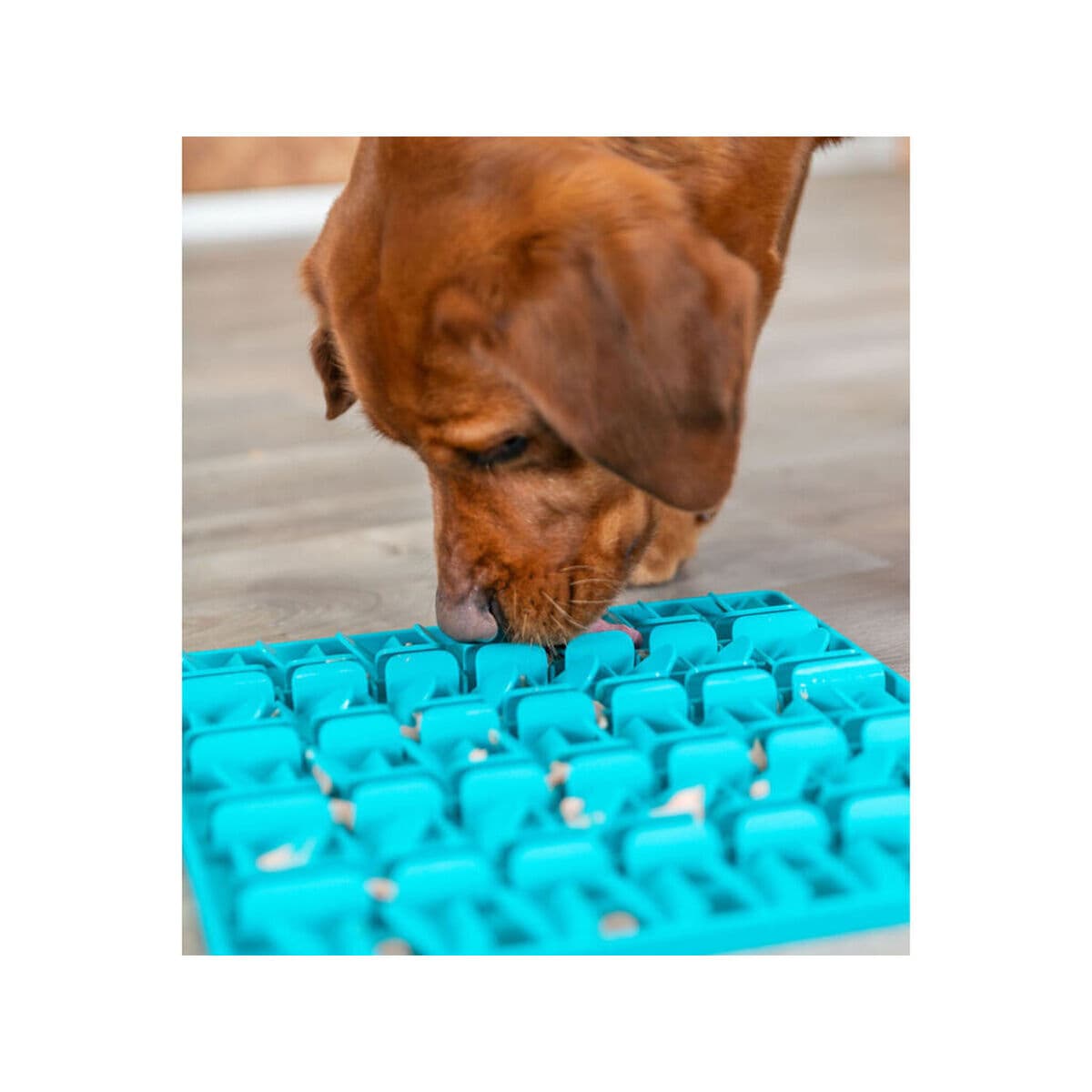 Games Mat and Rewards for Pets Trixie Lick'n'Snack Turquoise - Image 12