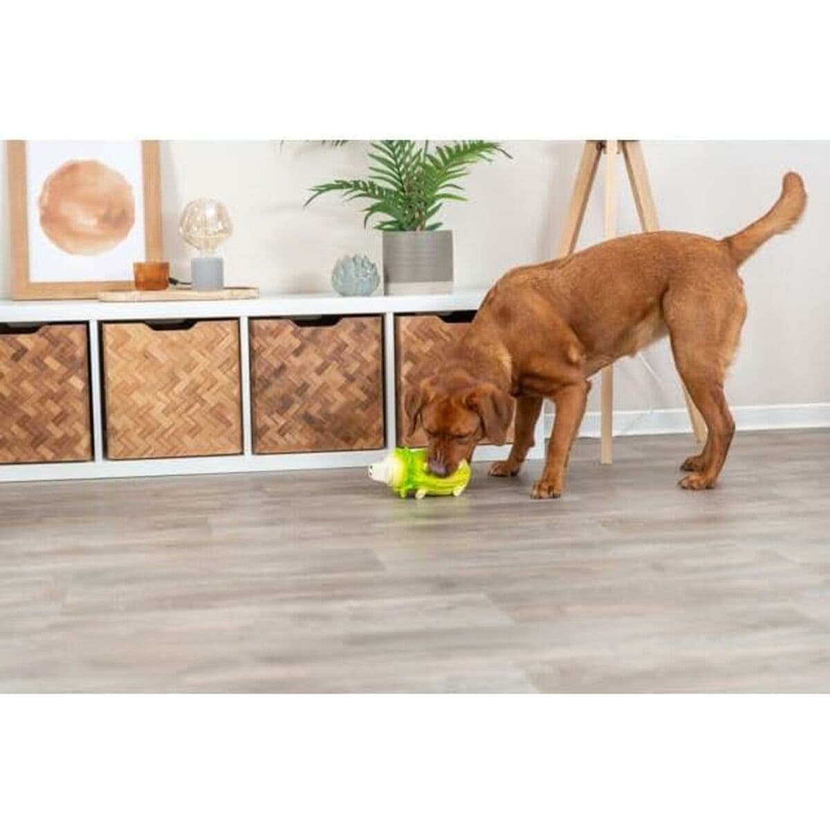 Dog toy Trixie Pig - Image 2