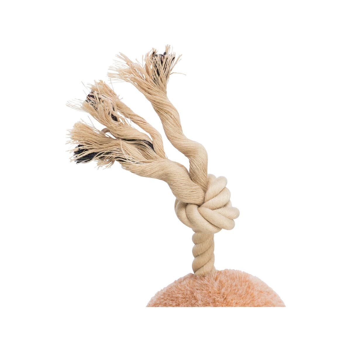 Zabawka dla psów Trixie Poliester Bawełna 38 cm - Image 3