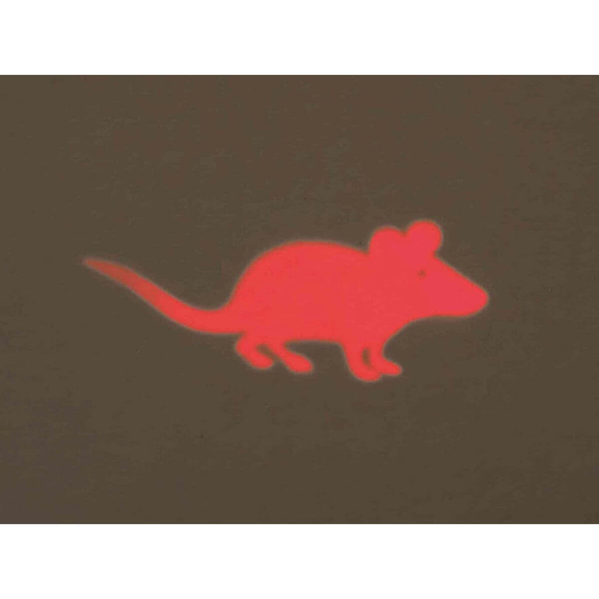 Puntatore Laser Trixie - Image 5