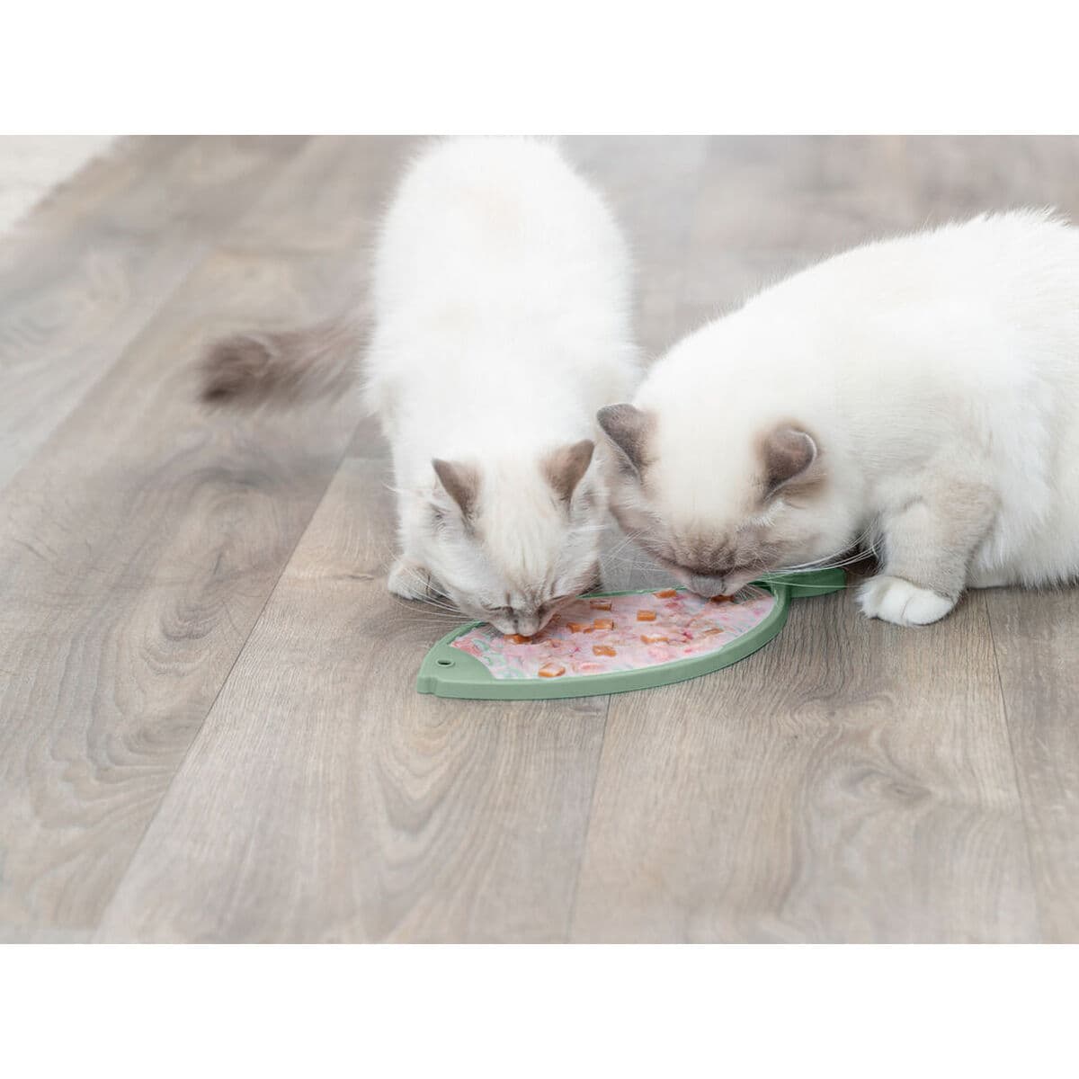 Hranilica za kućne ljubimce Trixie TX-41369 Plava Turkizno Silikon - Image 5