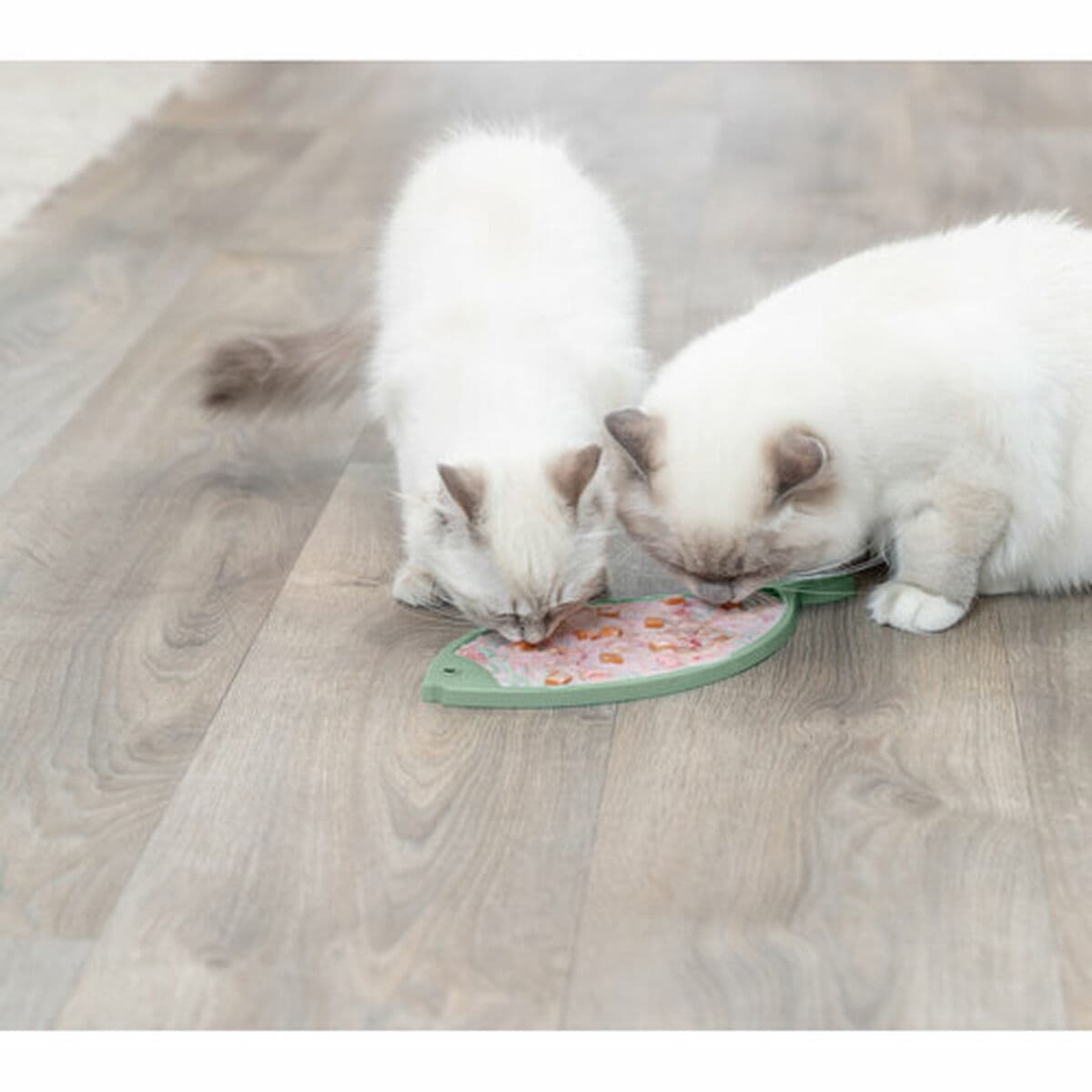 Hranilica za kućne ljubimce Trixie TX-41369 Plava Turkizno Silikon - Image 6