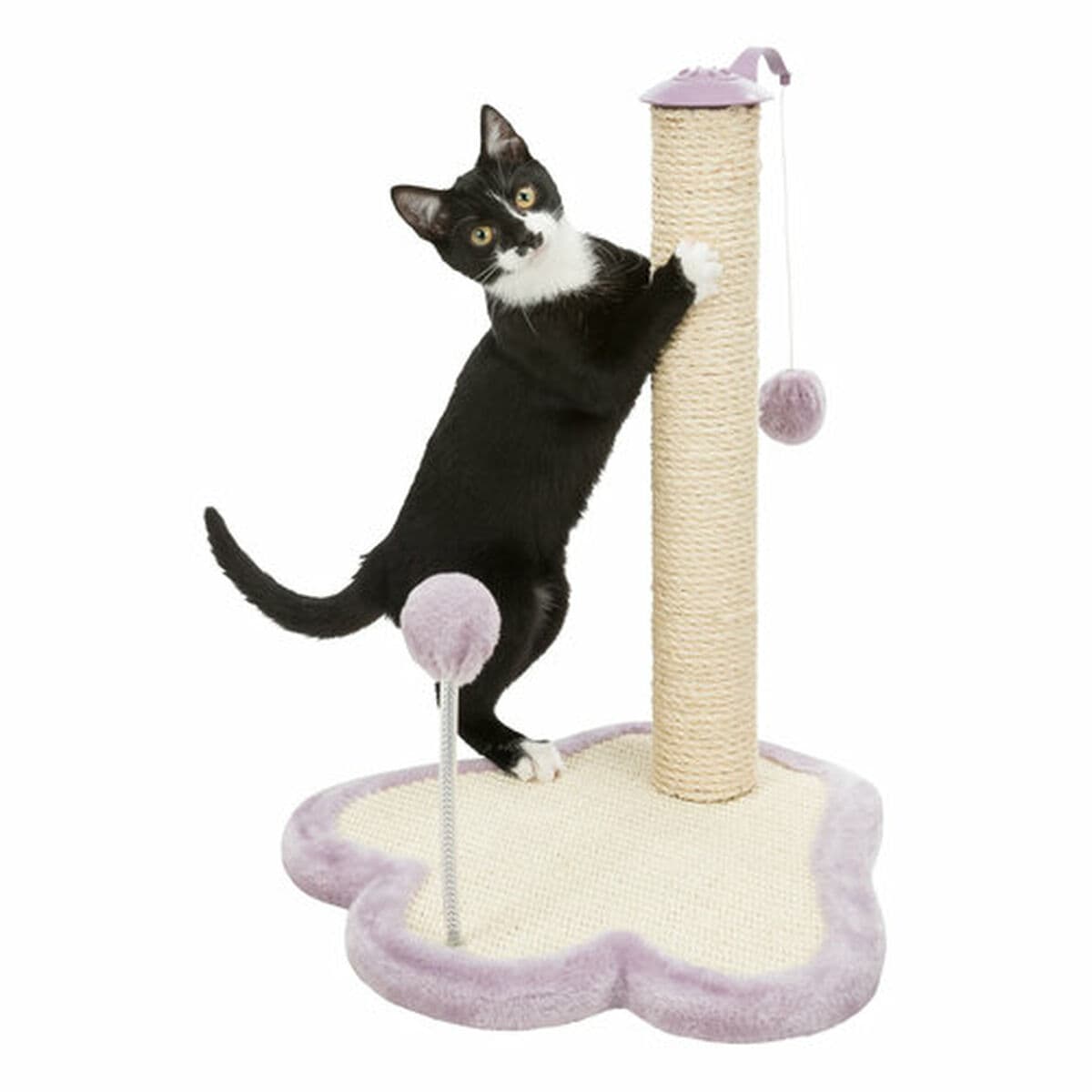 Rascador para Gatos Trixie Junior Morado 50 cm - Image 16