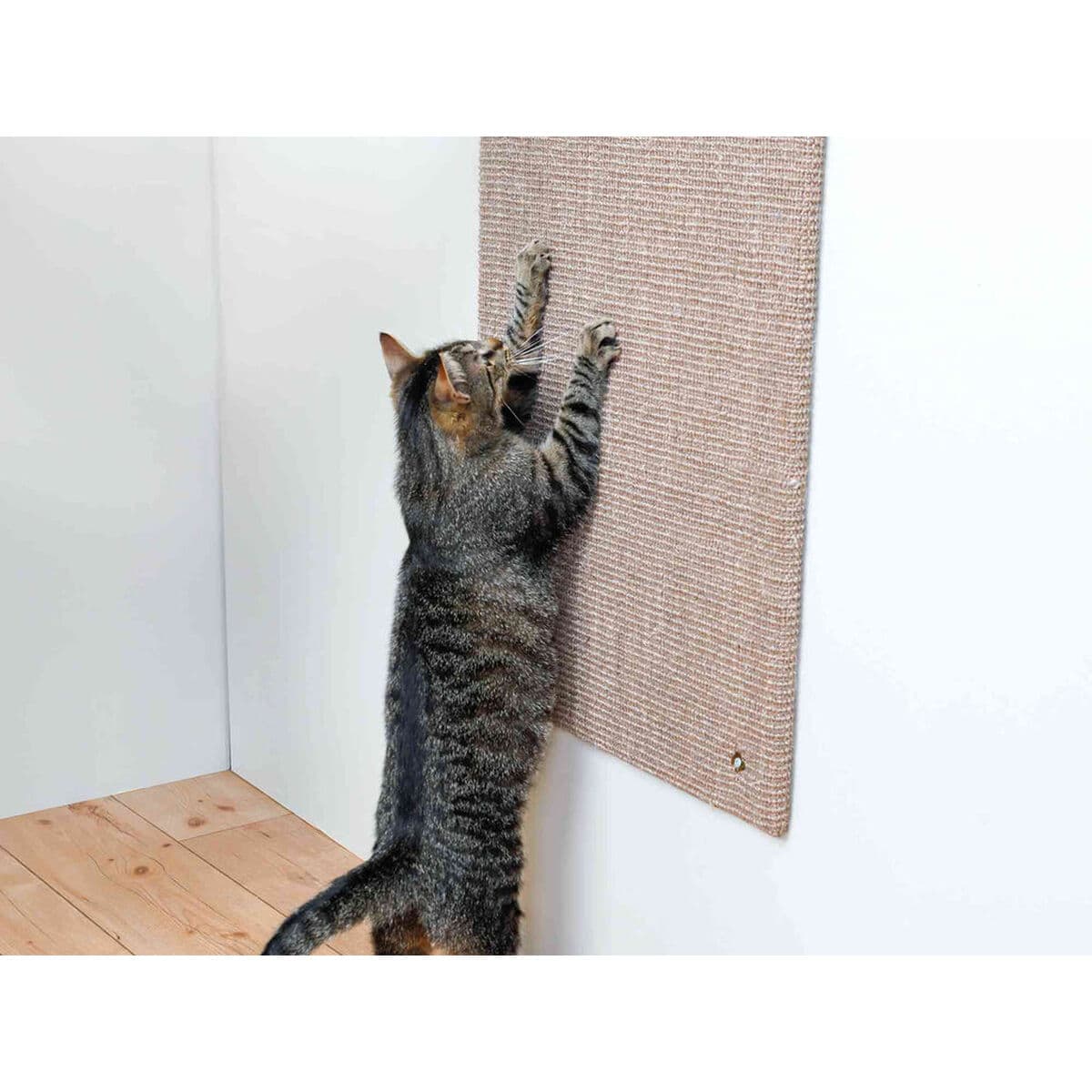 Rascador para Gatos XXL Trixie Marrón - Image 2