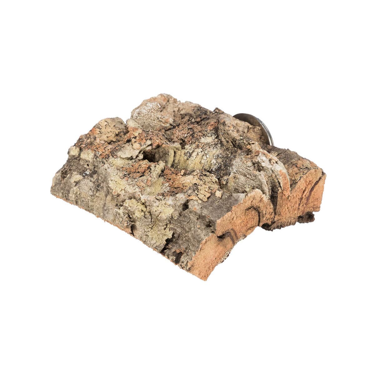 Dekorasjon Trixie 8 × 12 cm - Image 7