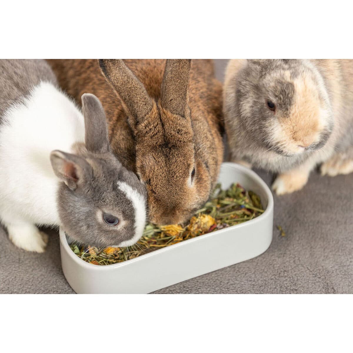 Ciotola per animali domestici Trixie 600 ml - Image 21