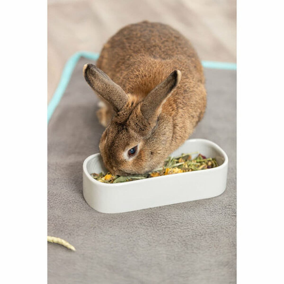 Ciotola per animali domestici Trixie 600 ml - Image 26