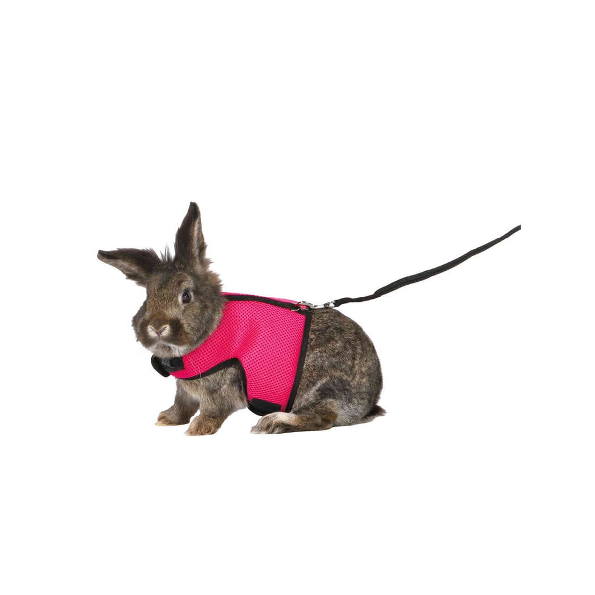 Orma za pse Trixie - Image 10