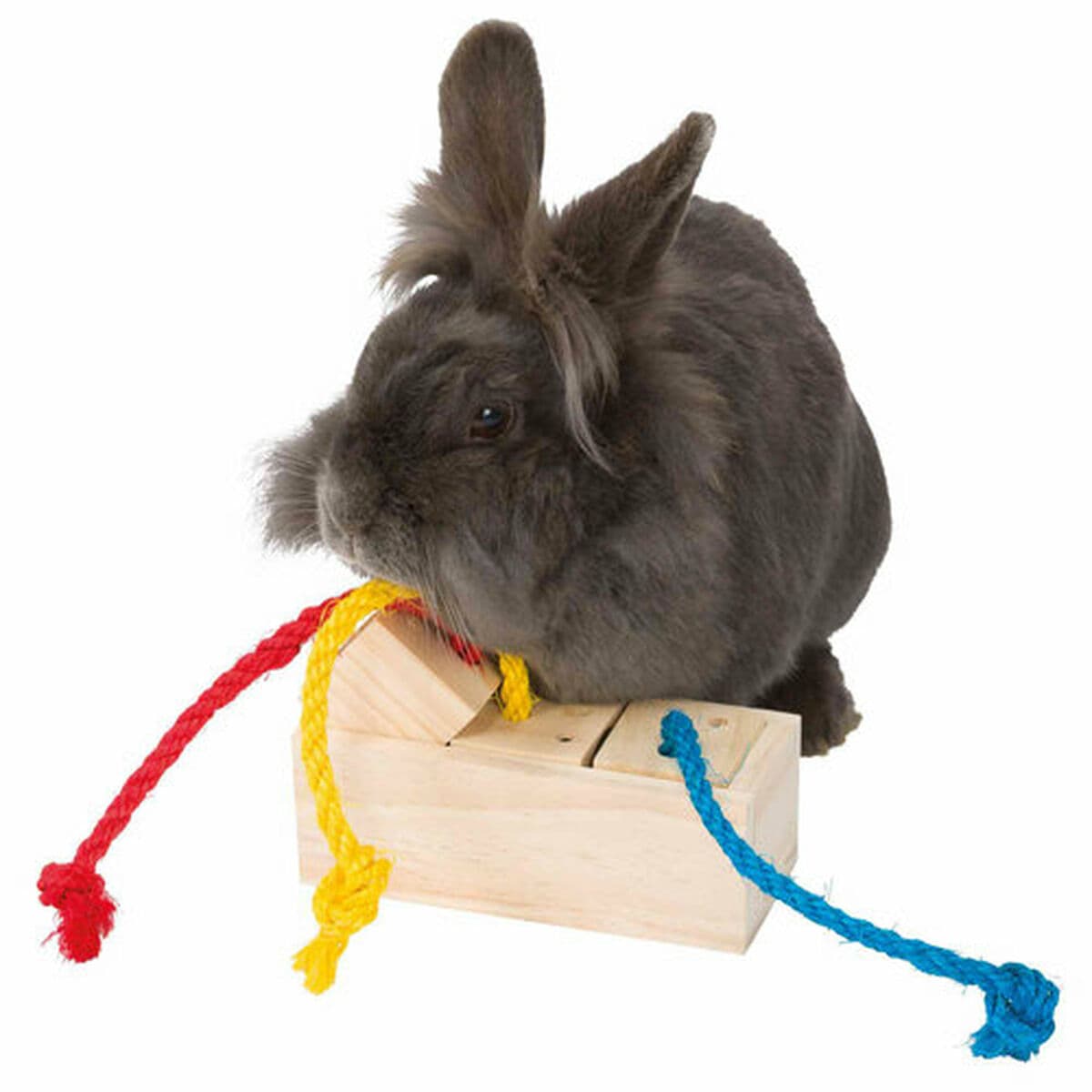 2-in-1 makupala-annostelija lemmikille Trixie 16 × 6 × 7 CM - Image 6