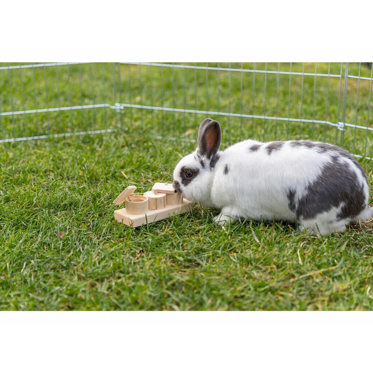 2-in-1 makupala-annostelija lemmikille Trixie Puu 15 × 4,5 × 6 CM - Image 3