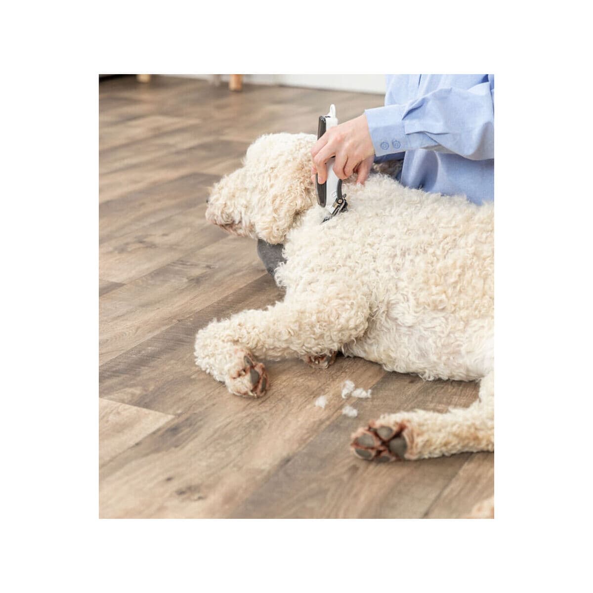 Hair clipper for pets Trixie TR1200 Stainless steel Ceramic - Image 12