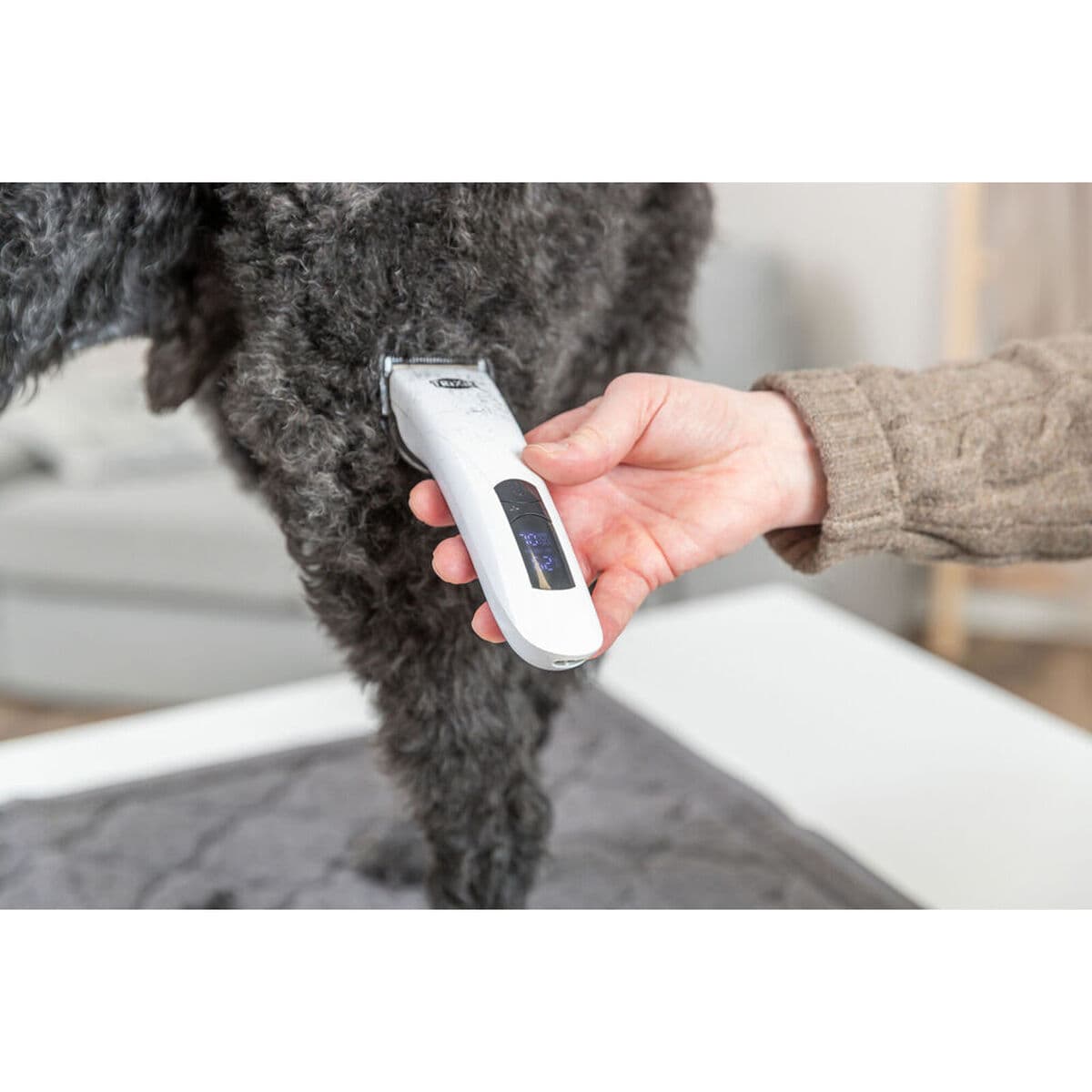 Pälsklippare för husdjur Trixie TR1600 Rostfritt stål Plast - Image 10