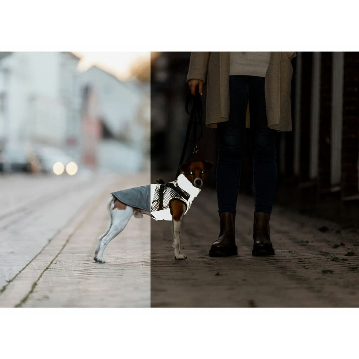 Šuns švarkas Trixie Pontis Reflect Pilka XS - Image 15