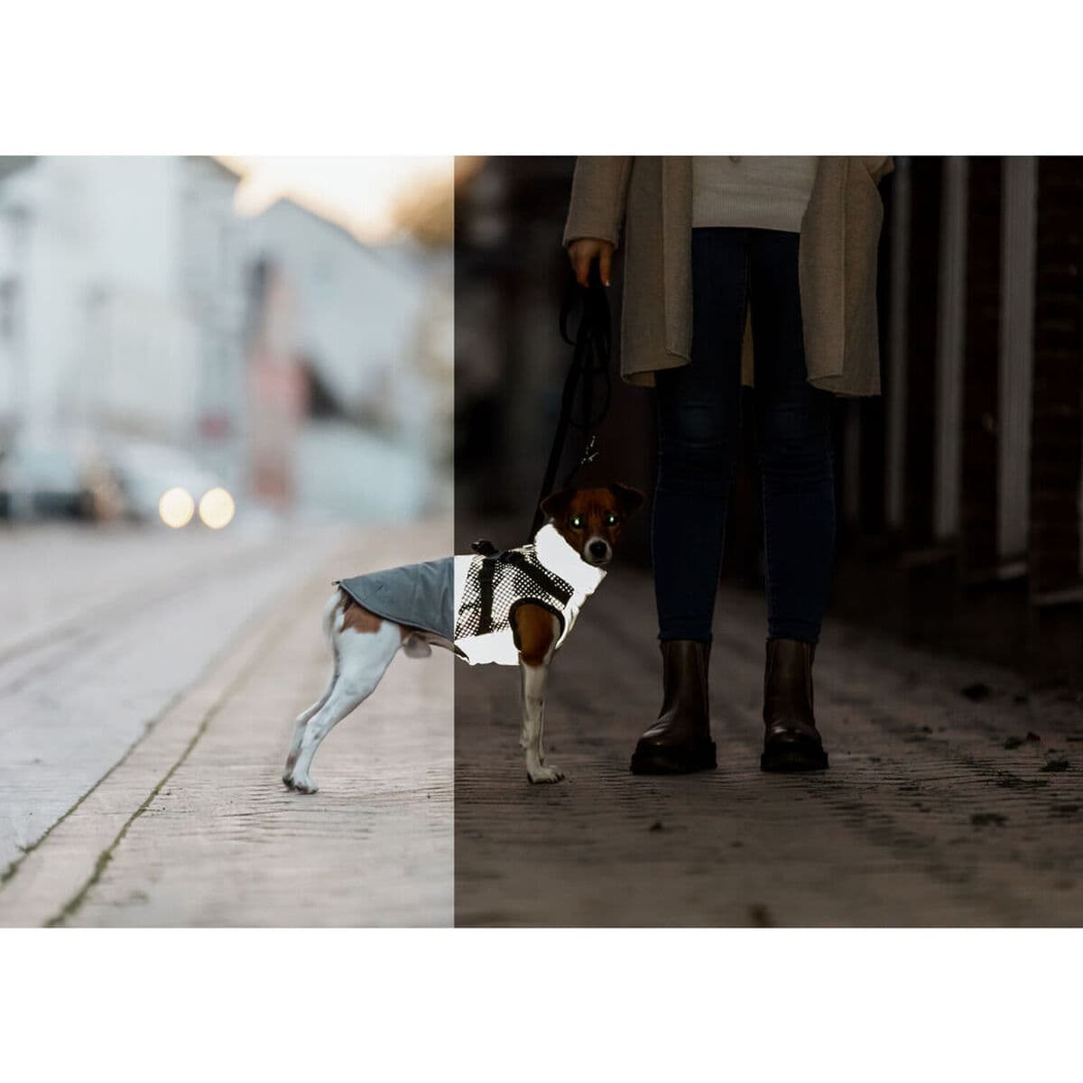 Dog Coat Trixie Grey XS - Image 15