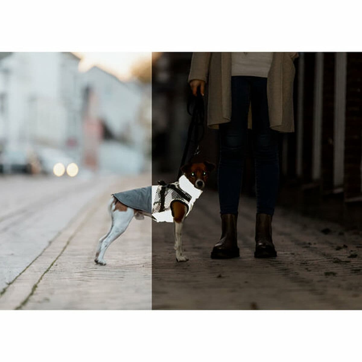 Dog Coat Trixie Grey XS - Image 16