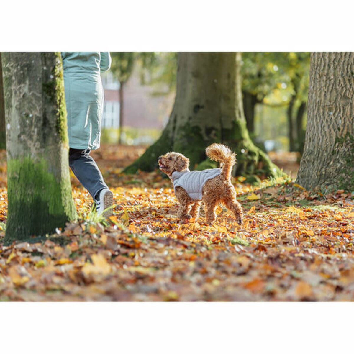 Abrigo para Perro Trixie Gris S - Image 16