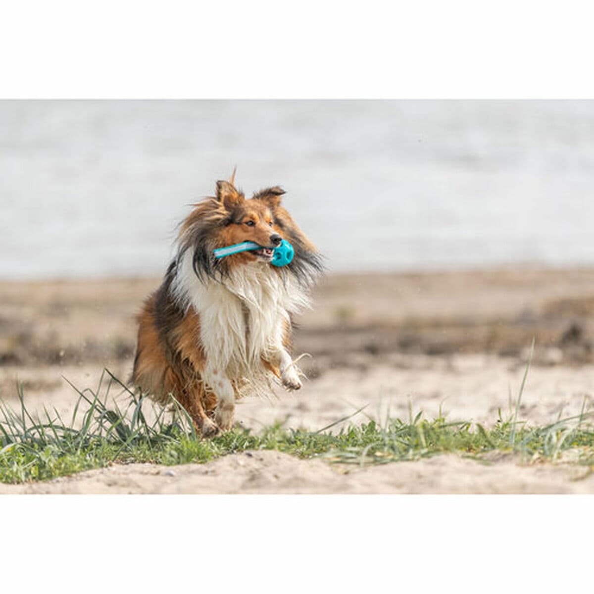 Minge pentru animale de companie Trixie Turquoise TPE Míč ø 6 x 23 cm - Image 12