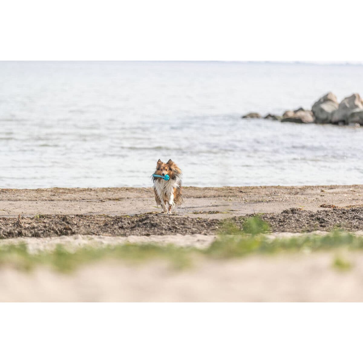 Minge pentru animale de companie Trixie Turquoise TPE Míč ø 6 x 23 cm - Image 13