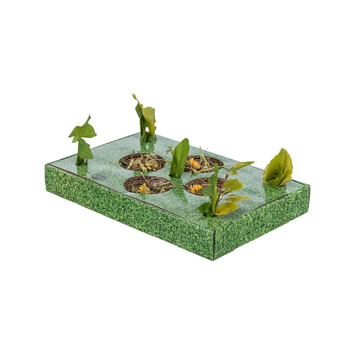 Pladanj za aperitive Trixie Zelena Karton 28 x 3,8 x 18 cm - Image 3