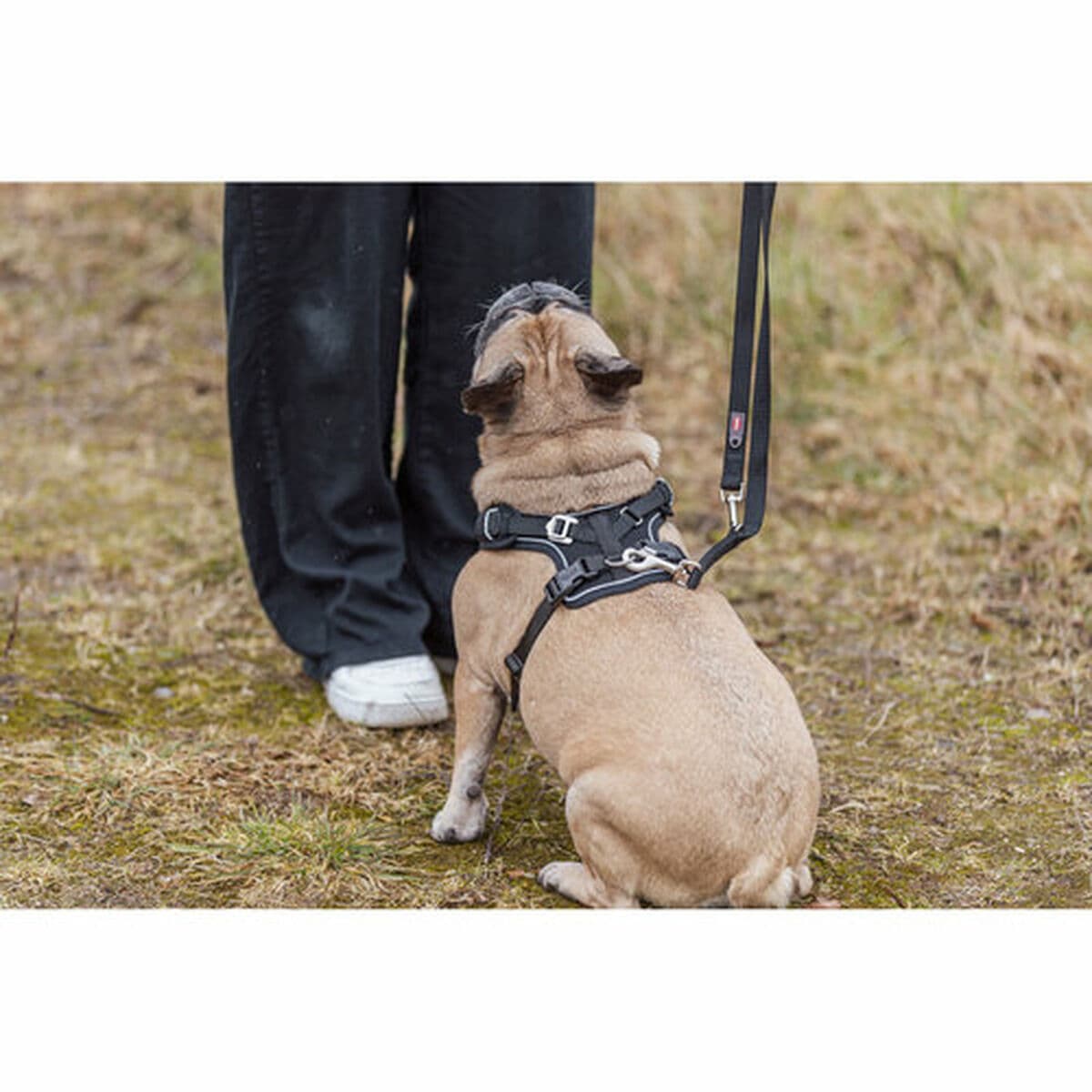 Hundsele Trixie Premium FlexMesh Svart S-M - Image 20