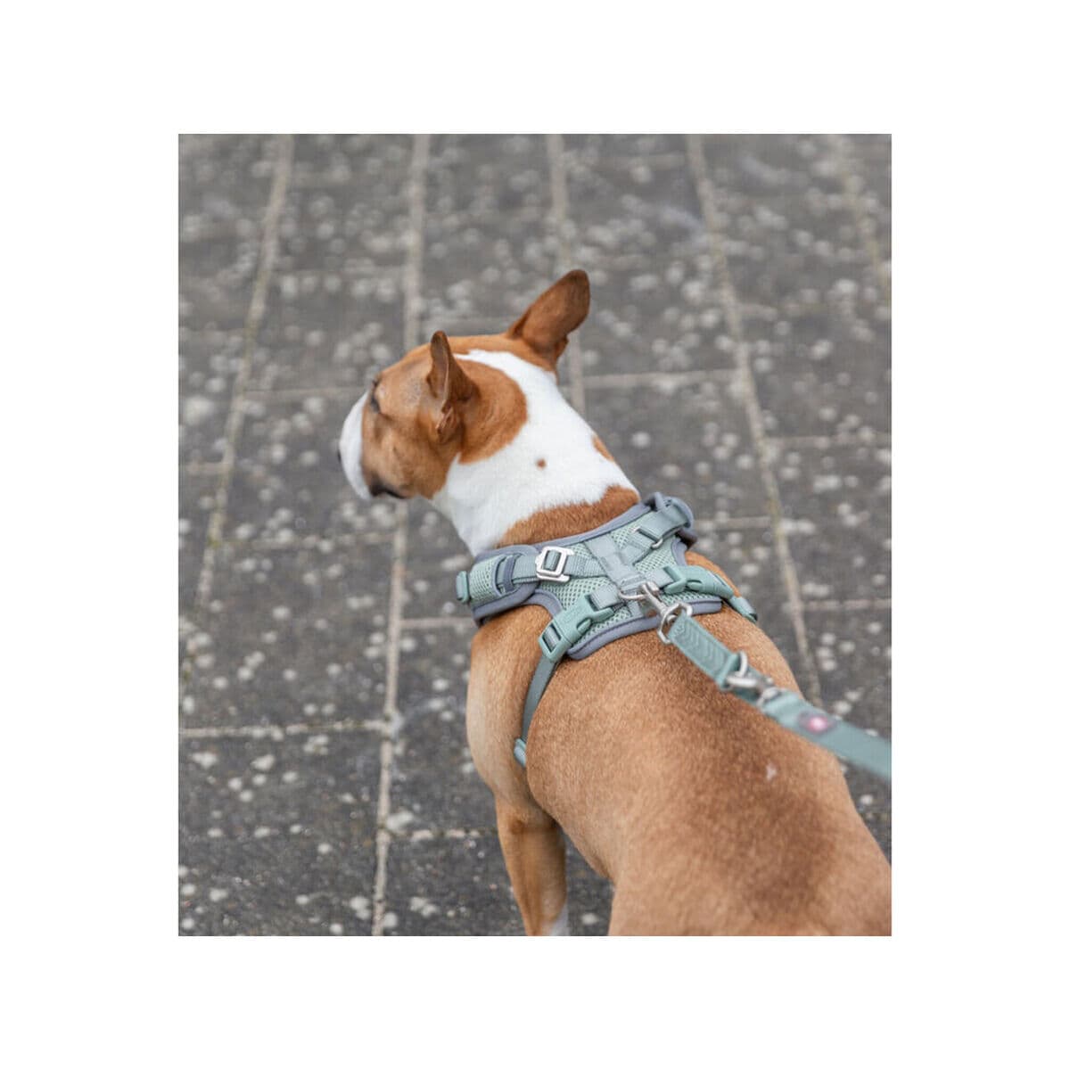 Hundsele Trixie Premium FlexMesh S-M - Image 3