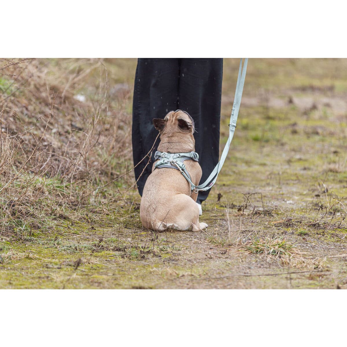 Hundsele Trixie Premium FlexMesh S-M - Image 5