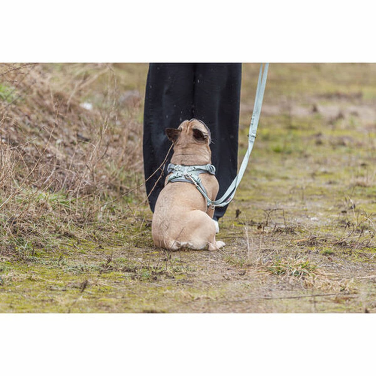 Hundsele Trixie Premium FlexMesh S-M - Image 6