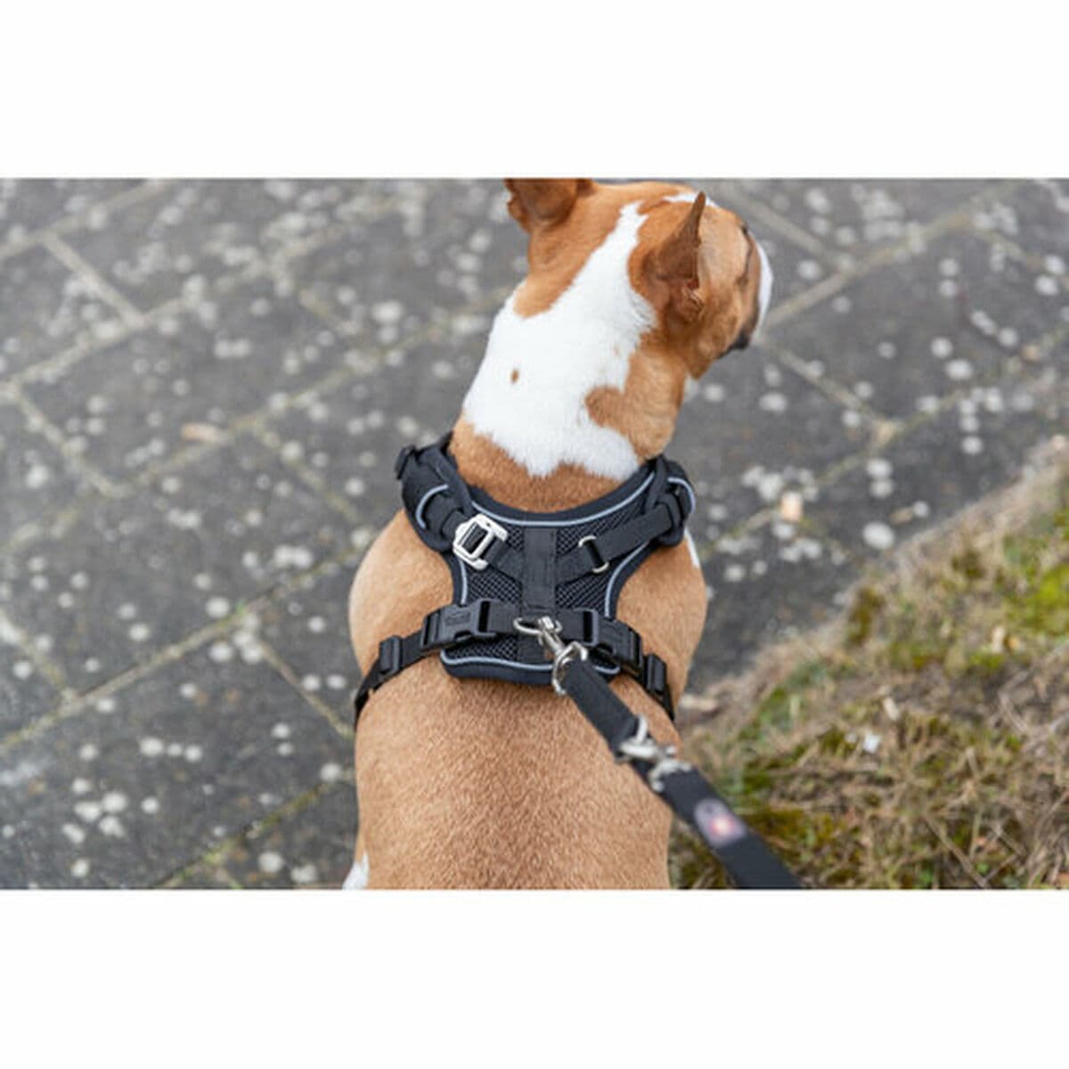 Hundegeschirr Trixie Premium FlexMesh Schwarz L - Image 2