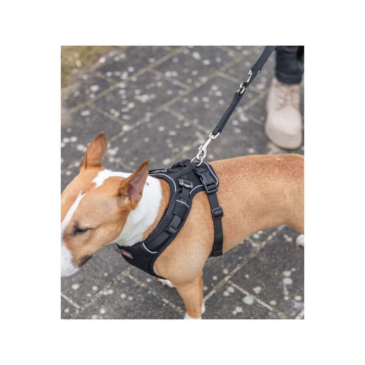 Hundegeschirr Trixie Premium FlexMesh Schwarz L - Image 3