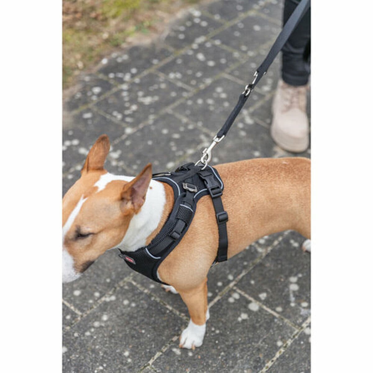 Hundegeschirr Trixie Premium FlexMesh Schwarz L - Image 4