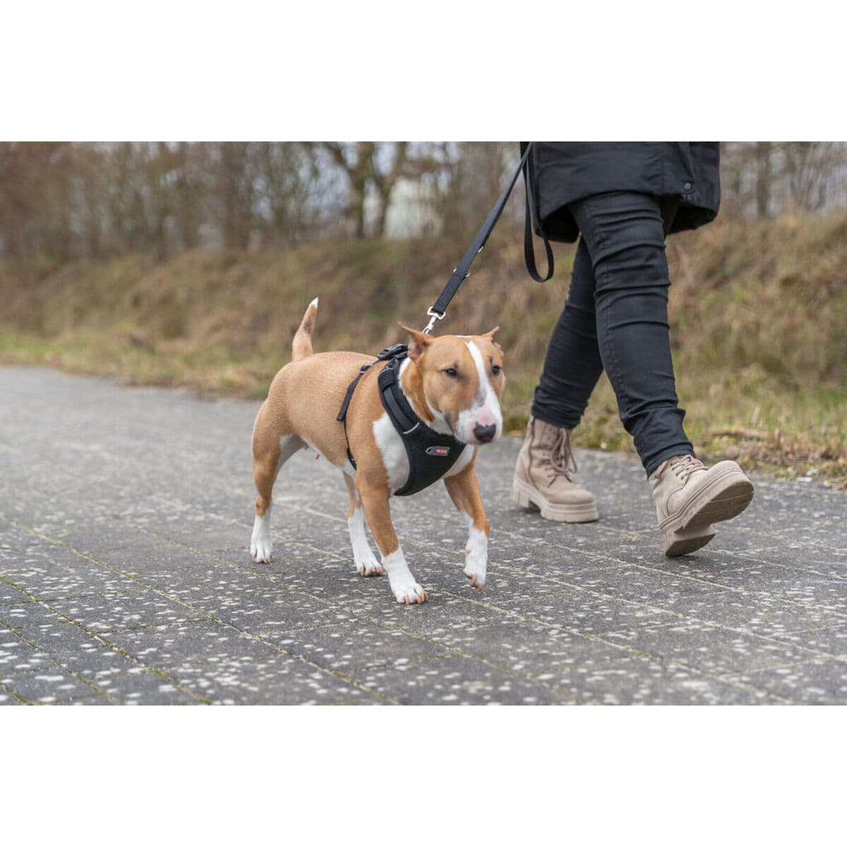 Hundegeschirr Trixie Premium FlexMesh Schwarz L - Image 5