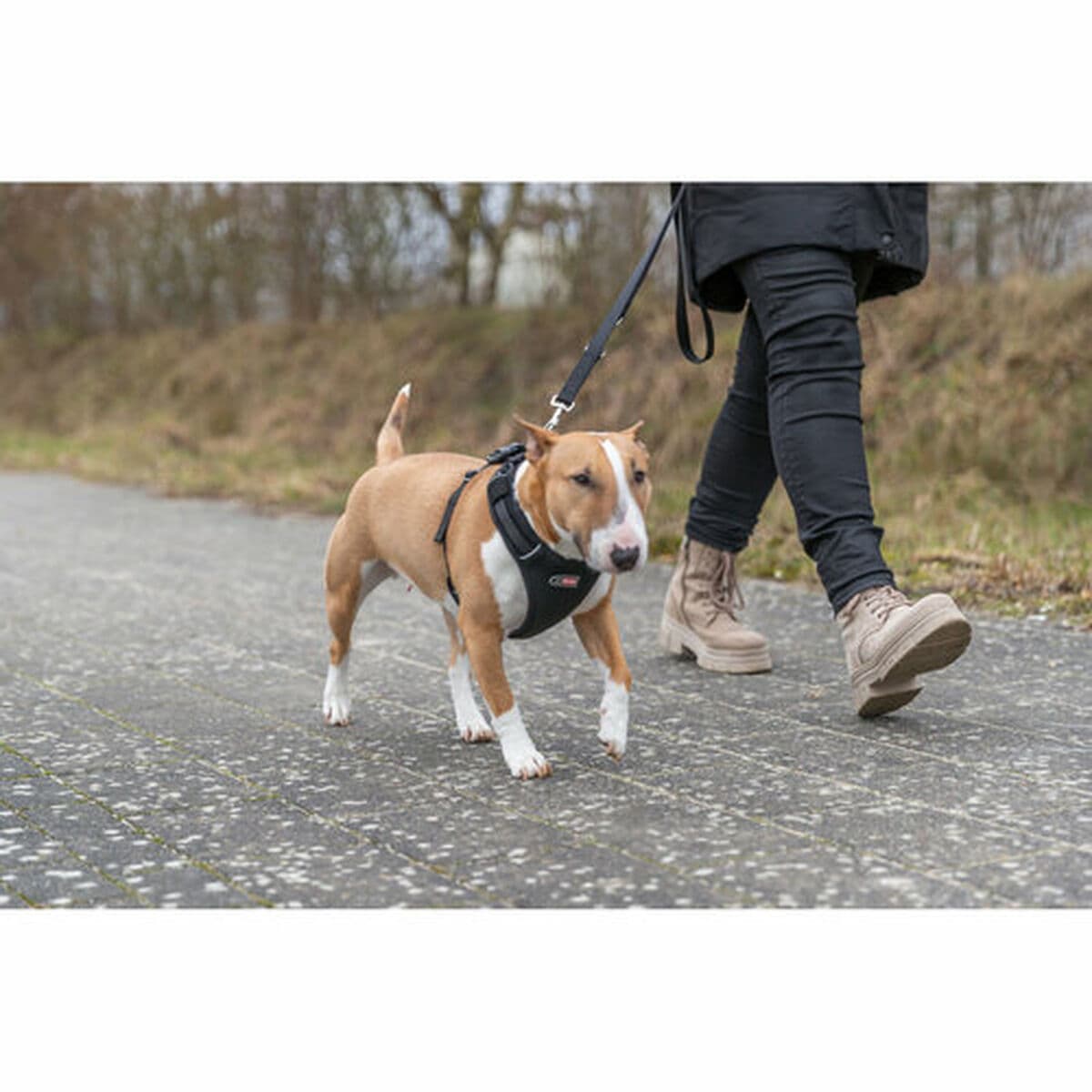 Hundegeschirr Trixie Premium FlexMesh Schwarz L - Image 6