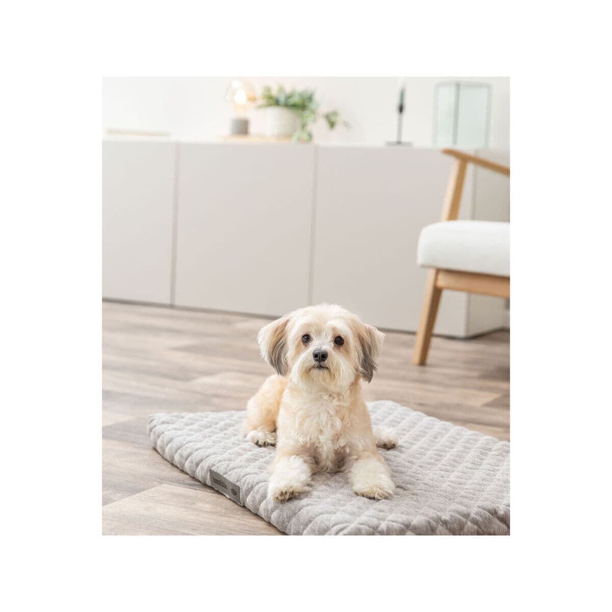 Čiužinys Trixie Vital Noah Šviesiai pilka 110 × 70 CM - Image 15