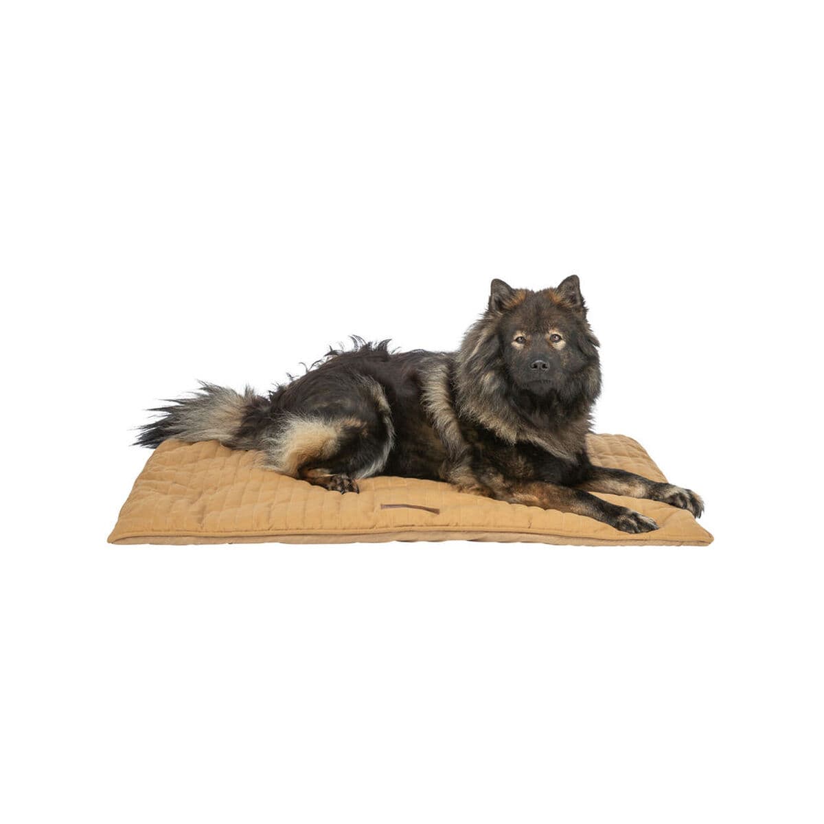 Oro lova Trixie Ochra 70 × 50 cm Šuo - Image 11