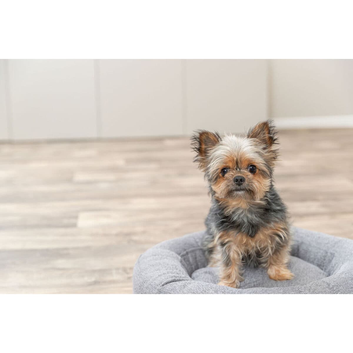 Šunų lova Trixie Pilka Ø 50 cm - Image 9