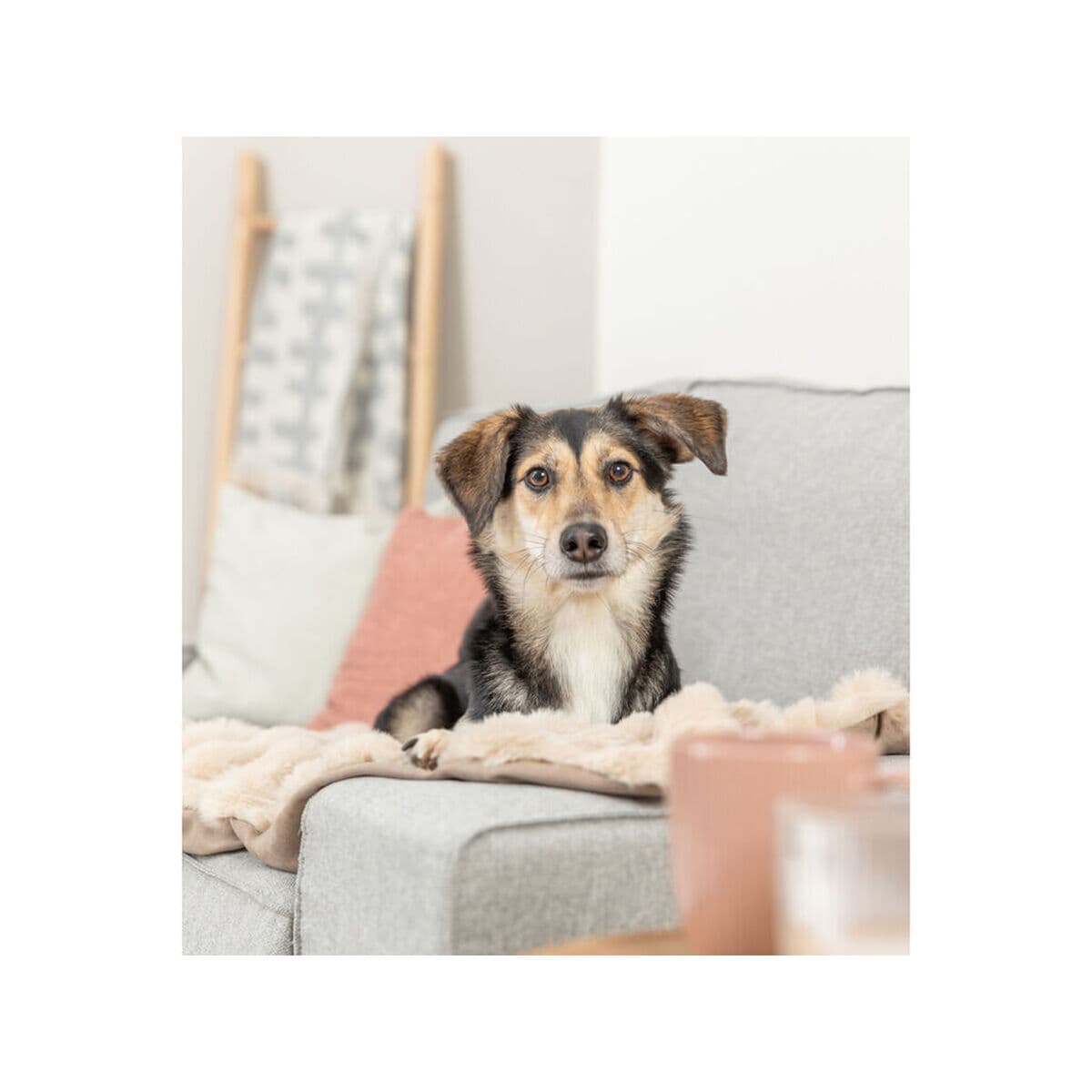 Manta para Mascotas Trixie Elli Arena Poliéster 150 x 100 cm - Image 3