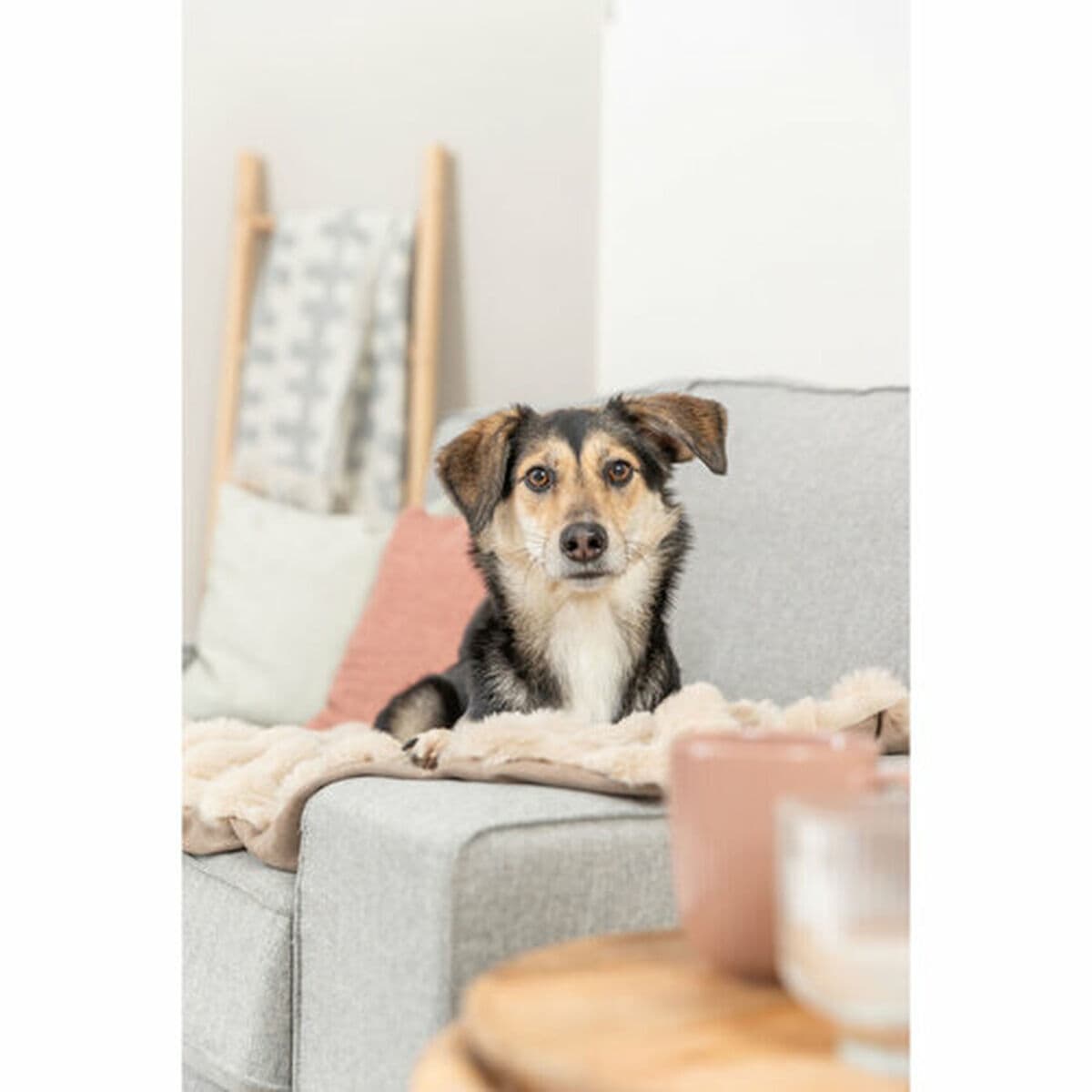 Manta para Mascotas Trixie Elli Arena Poliéster 150 x 100 cm - Image 4