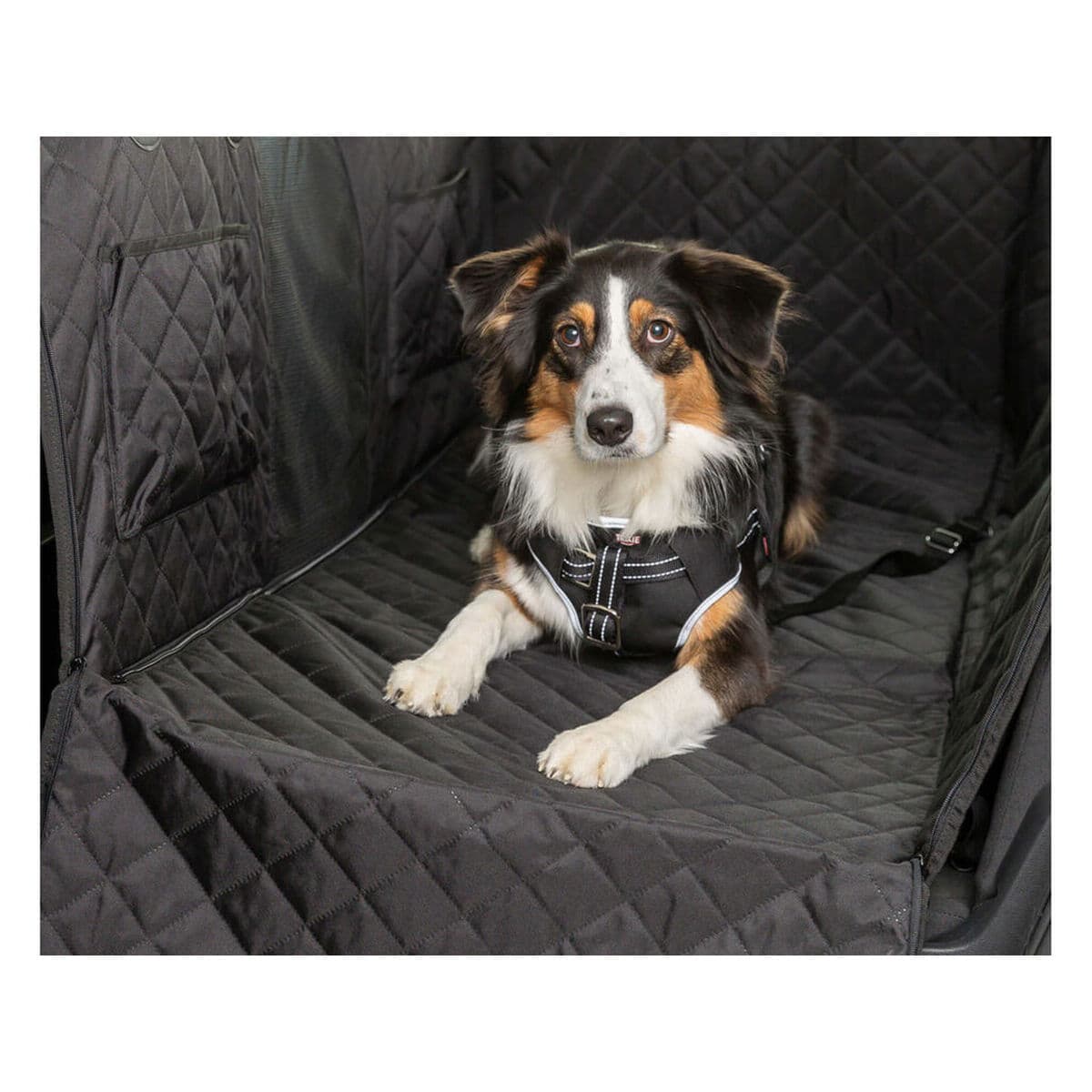 Funda Protectora de Coche para Mascotas Trixie Negro 164 x 161 cm - Image 4