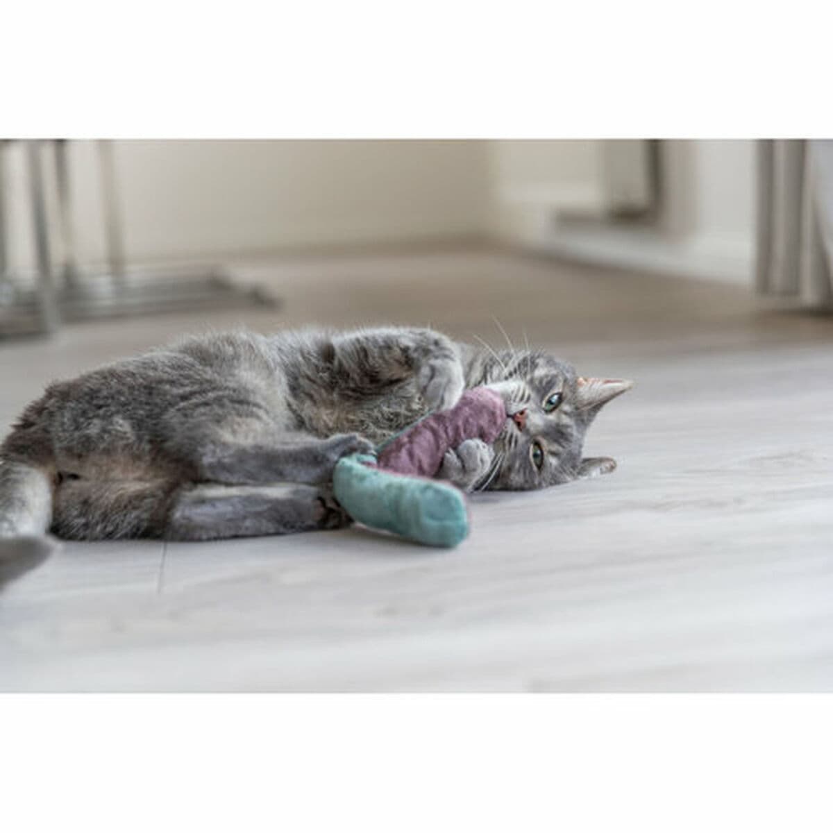 Kattleksaken Trixie - Image 6