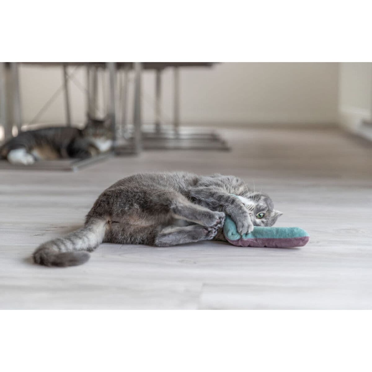 Kattleksaken Trixie - Image 7