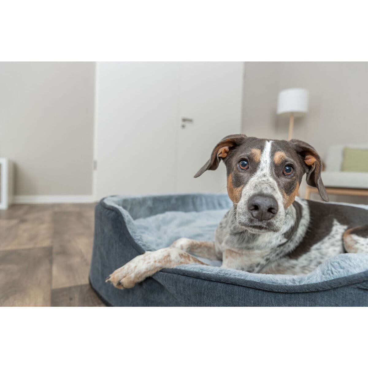 Cuccia per Cani Trixie Vital Lino Soft Grigio Grigio chiaro 60 x 45 cm - Image 11