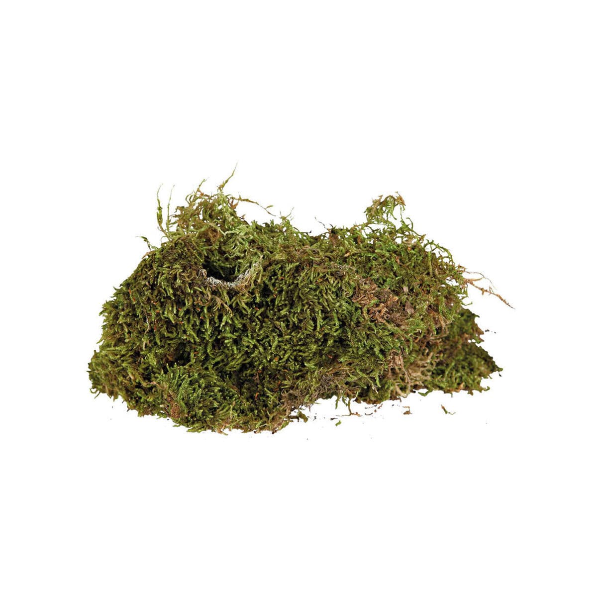 supstrat Trixie 200 g Mahovina - Image 5