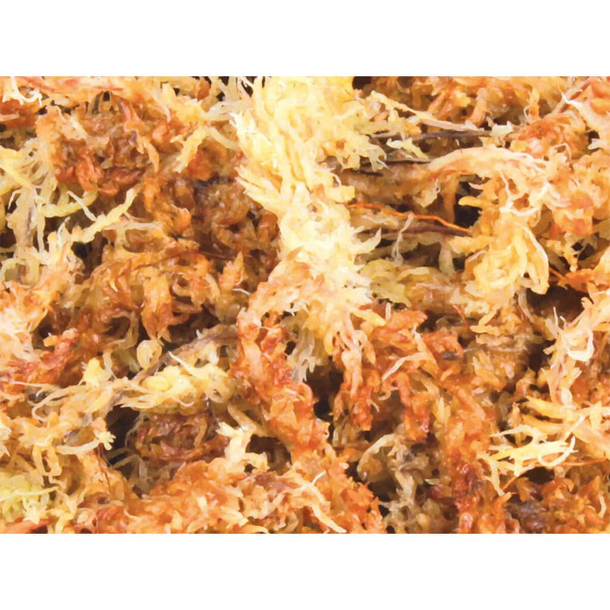 supstrat Trixie Mahovina - Image 3